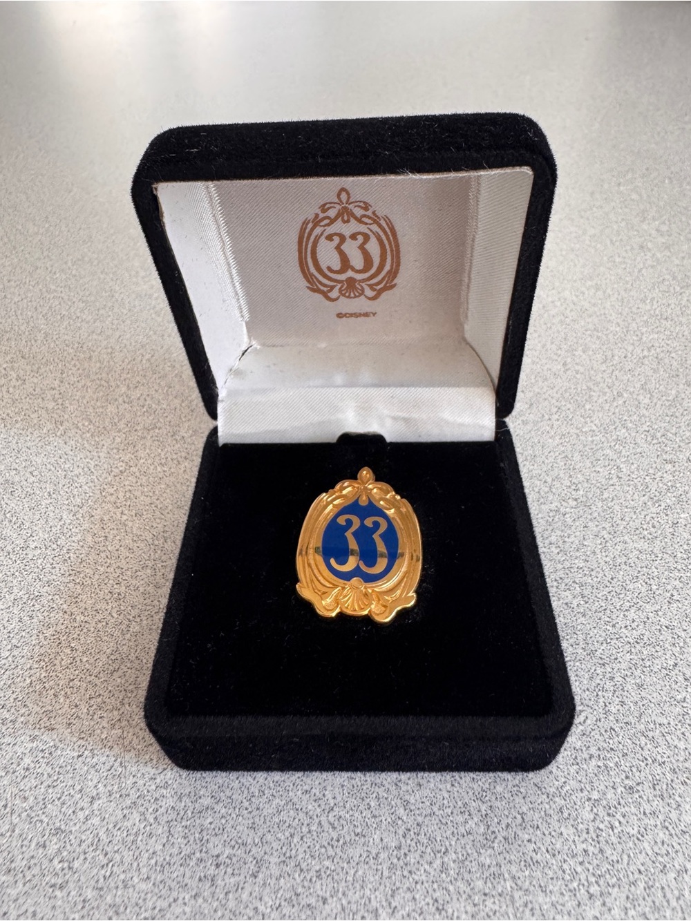 Disney Club 33 Pin - Rare